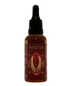 eng pm Iron Legion INVICTUS 30 ml 5088 1