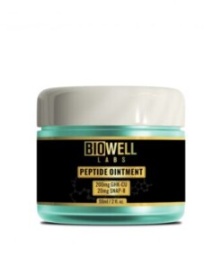 Maqueta 2 5 600x400 1