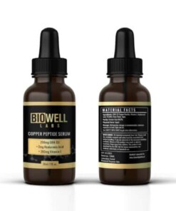 maqueta 5 4 600x450 1