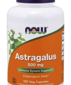 eng pm Astragalus 500 mg 100 kapszula 3054 1