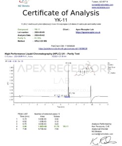 COA YK 11 Martina 2024 09 09 pdf