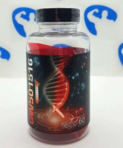 GynSyn Labs GW-501516 12.5 mg 60 caps - nowm-gynsyn-labs-gw-501516-125-mg-60-caps.jpg