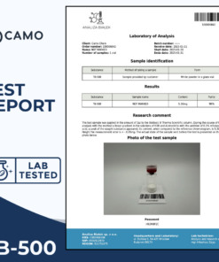 Your paragraph text 1